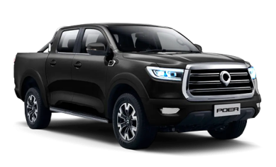 Great Wall Poer Comfort
